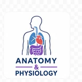 Anatomy & Physiology